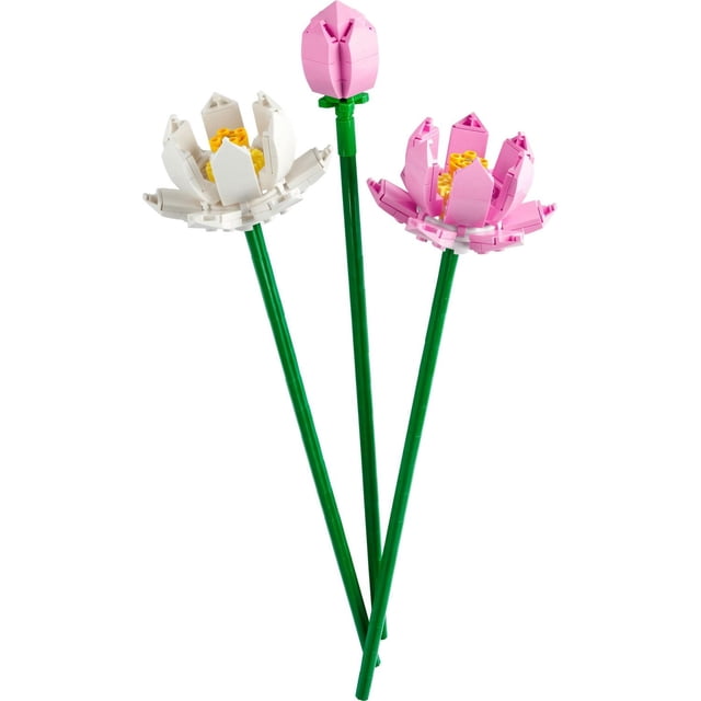 LEGO Lotus Flowers 40647 Ensemble de Construction avec Trois Fleurs de Lotus sur de Longues Tiges Vertes, Incluant Deux Fleurs Entièrement Florissantes avec des Pétales Roses et Blancs et des Centres Jaunes, et un Bourgeon de Fleur Rose, Convient aux 8 Ans et Plus et Idéal pour une Présentation Décorative.