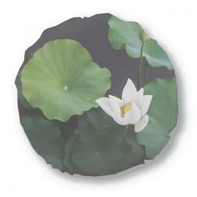 Fresh Lotus Picture Nature Round Throw Pillow Home Decoration Cushion