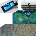 thumbnail image 5 of YOPTOP 30X Zoom Bright LED Stereo Microscope Magnifier Clip-On Cell Phone Mobile Phone Camera Lens Compatible with Apple iPhone Samsung iPad, 5 of 5