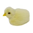 thumbnail image 1 of Réaliste Poussin Décora Animal Poupée Simulation Poulet Modèle Peluche Pâques Cadeau, 1 of 4
