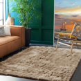 thumbnail image 1 of LAICAIW 5x7 Area Rug Beige Rug Fluffy Shag Rug Washable Faux Sheepskin Fur Rug Throw Rugs for Living Room Plush Bedside Rug Fuzzy Rug Home Decor Rectangle, 1 of 7