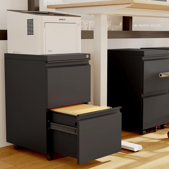 EDTara Classeur, Rangement Métallique Mobile à 2 Tiroirs avec Serrure et Roulettes, Conçu pour Se Glisser sous le Bureau, Garde les Dossiers Légal/A4/Letter en Sécurité au Bureau à Domicile