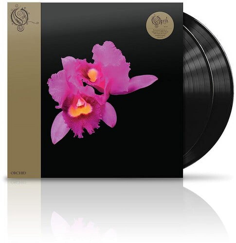 Orchid - Walmart.ca