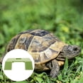 thumbnail image 4 of MOVTOTOP Tortue Grimpante Bascule Plateforme Tortue Flottante Terrasse, 4 of 6