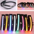 thumbnail image 2 of HEVIRGO Mode LED Chien Chien Nuit Sécurité Collier Clignotant Éclairent Bande de Col en Nylon, 2 of 11