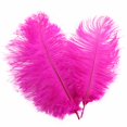thumbnail image 2 of Ostrich Feather 30-35Cm Color Feather Decoration 8# Rose Red C Feather (1*Feather), 2 of 7