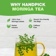 thumbnail image 3 of HANDPICK Moringa Tea Bags, 100 Count | Caffeine-Free Herbal Tea, 3 of 9