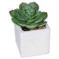 thumbnail image 3 of Mainstays Echeveria Plant Artificial Succulent Pick, 3 of 6