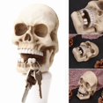 thumbnail image 2 of Halloween Skeleton Key Holder Realistic Human Skull Decor Realistic Halloween Atmosphere Mask For Fireplace Home Halloween Party Decor, 2 of 7