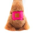 thumbnail image 4 of CAROOTU Couches Lavables Réutilisables pour Chiens Coton Respirant Chiot Bandes de Ventre Crochet & Boucle Sanitaire Réglable Pantalon pour Animal de Compagnie, 4 of 7