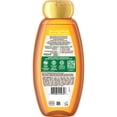 thumbnail image 4 of Garnier Whole Blends Marvelous Shampoo, 4 of 6
