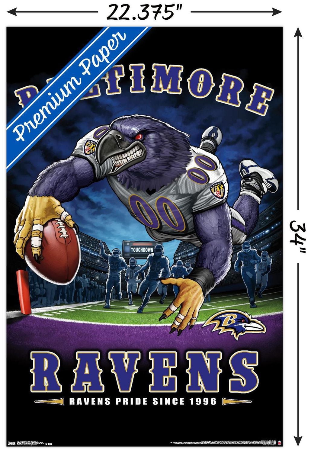 NFL Baltimore Ravens - End Zone 17 Wall Poster