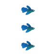 thumbnail image 3 of Thinsony Poissons Rouges Artificiels Lumineux Magnifiquement Conçus pour Aquariums Tan Bleu 3Set, 3 of 6