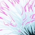 thumbnail image 4 of GROWTH TANK 1 Pce Aquarium Artificiel Fluorescent Anémone de Mer Corail Paysage Rouge, 4 of 9