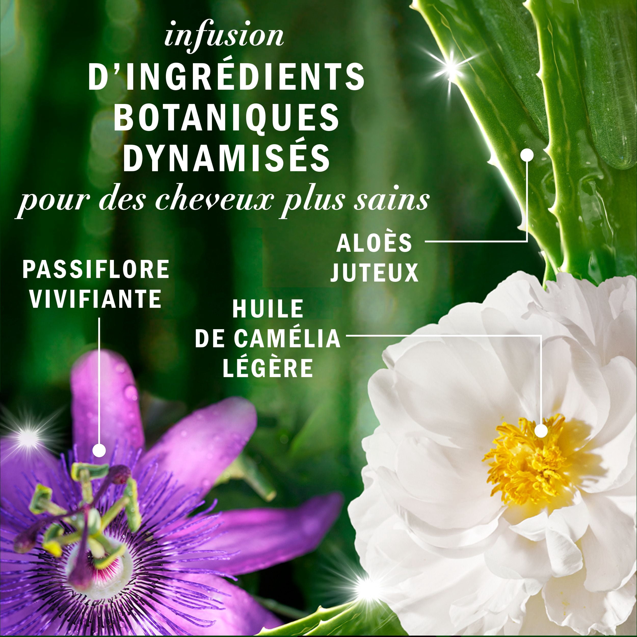 Shampooing sans sulfate Herbal Essences Abondants et épais à la passiflore, 400 mL