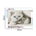 thumbnail image 2 of Graflsoa « Kit de Peinture Diamant Chat Bricolage - Art sur Toile 40x30 cm avec Strass et Outils Inclus », 2 of 7