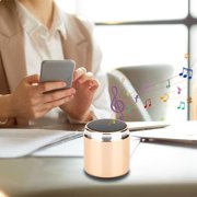 Birdeem Speakers Bluetooth Wireless, Portable Bluetooth Speakers, 5.0 Version Bluetooth Speaker Outdoor Mini Speaker Portable Metal Gift Battery Capacity 500Mah Wireless Bluetooth