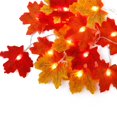 thumbnail image 1 of LED Light String Halloween Yard Decoration Lamp Thanksgiving Party Lighting  40 LED  6m  Flash  Leaf, 1 of 8
