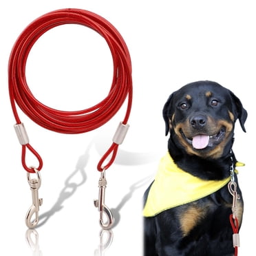 Estbridge Câble d'Arrimage pour Animaux 10 Pi en Acier Tressé Solide pour Chiens jusqu'à 125 Lb