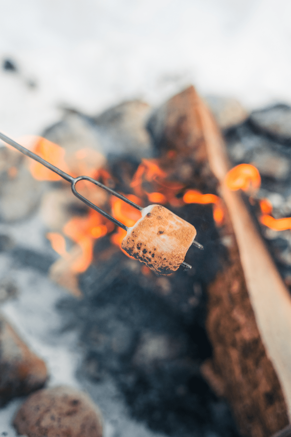 Coghlan's Telescoping Campfire Roasting Fork, 20-30 in Portable Skewer for Marshmallows & Hot Dogs
