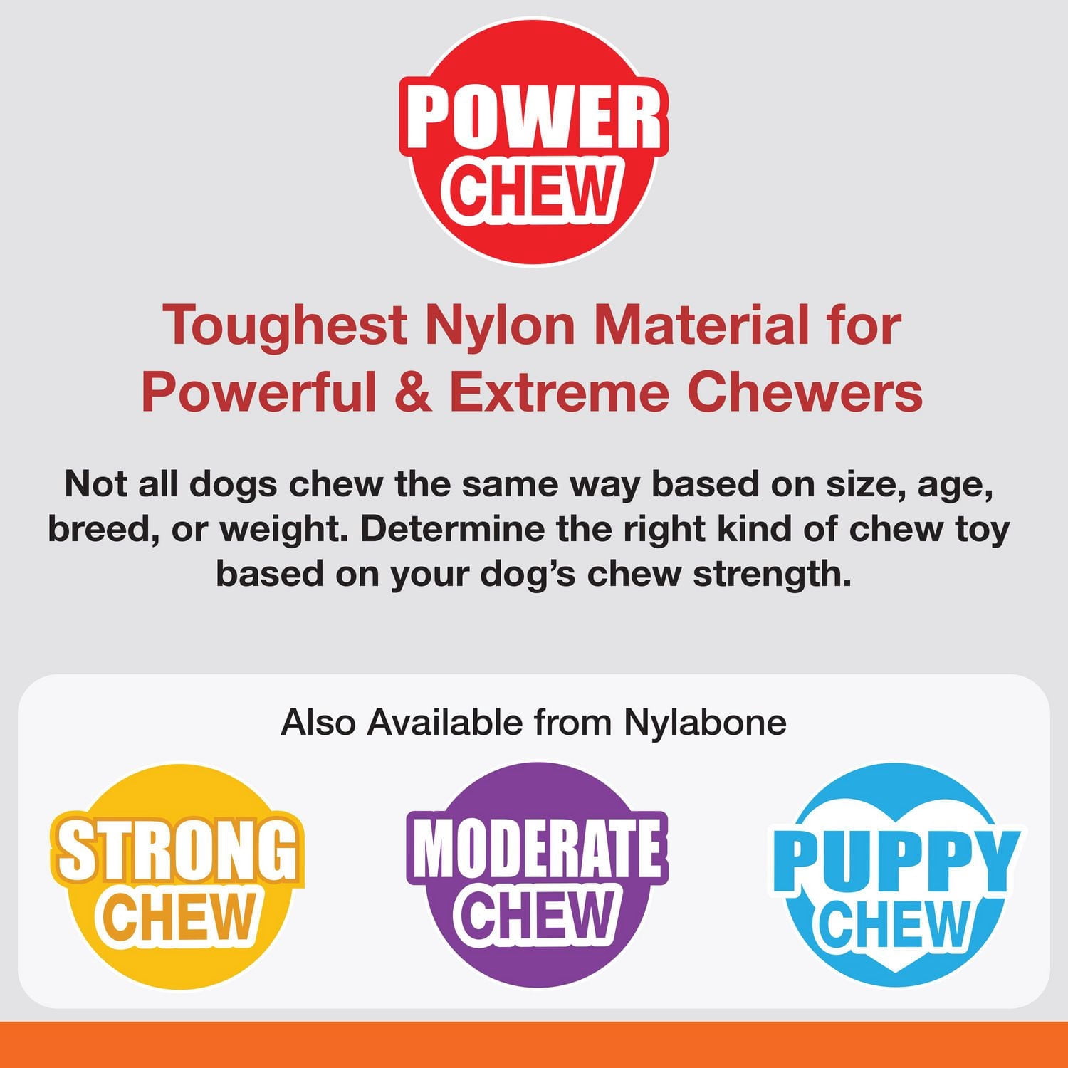 Jouet Power Chew T-Rex Nylabone, grand, saveur de poulet
