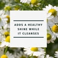 thumbnail image 3 of Herbal Essences Chamomile Shine Shampoo, 3 of 8