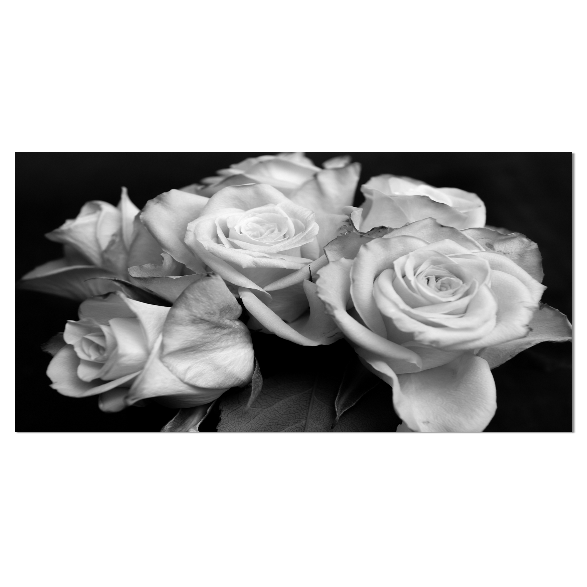Tableau moderne imprimée sur toile Design Art rose en noir et blanc