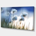 thumbnail image 2 of Beautiful Polar White Flowers - Floral Canvas Art Print, 2 of 3