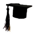 thumbnail image 4 of Sokhug Lot de 10 Mini Bouchons de Collation des Grades avec Pompons, Toque de Diplômé, Garnitures de Bouteilles de Vin et de Gâteau pour Décorations de Fête de Collation des Grades, 4 of 8