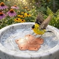 thumbnail image 3 of Tong 1Pcs Bird Bath DiscPure Copper Bird Bath Purification Disk 4Inch 0.7MM Thick Self Cleaning Design For Clean Water All Year Disks For Outdoor Birdbaths Bowls Founta, 3 of 5
