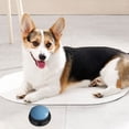 thumbnail image 4 of KTTECTOA Dog Barking Dinner Pet Communication Button Training Talking Toy Recording Vocalizer Extrusion Box Voice Sound Box Clearance Kids Games Canada Days Toys Outdoor Games, 4 of 8