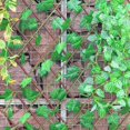 thumbnail image 3 of thinsony Clôture de Jardin Rétractable Écran d'Intimité Extérieur Feuilles de Vigne, 3 of 9
