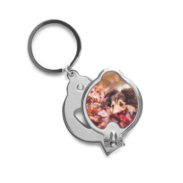 Coupe-ongles pour Chien Animal Photo Ciseaux en Acier Inoxydable