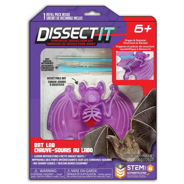 Dissect-It Trousse de dissection Synthétique pour Laboratoire de Chauves-Souris Mettant en Vedette un Modèle de Chauve-Souris Mauve Semblable à la Gélatine avec des Côtes Squelettiques Blanches Visibles et un Organe Rouge à l'Intérieur, Incluant des Outils de dissection Sûrs en Plastique et Métal, Emballée dans une Boîte Mauve et Rouge avec STIM Éducatif de Marque et Texte Bilingue Anglais-Français.