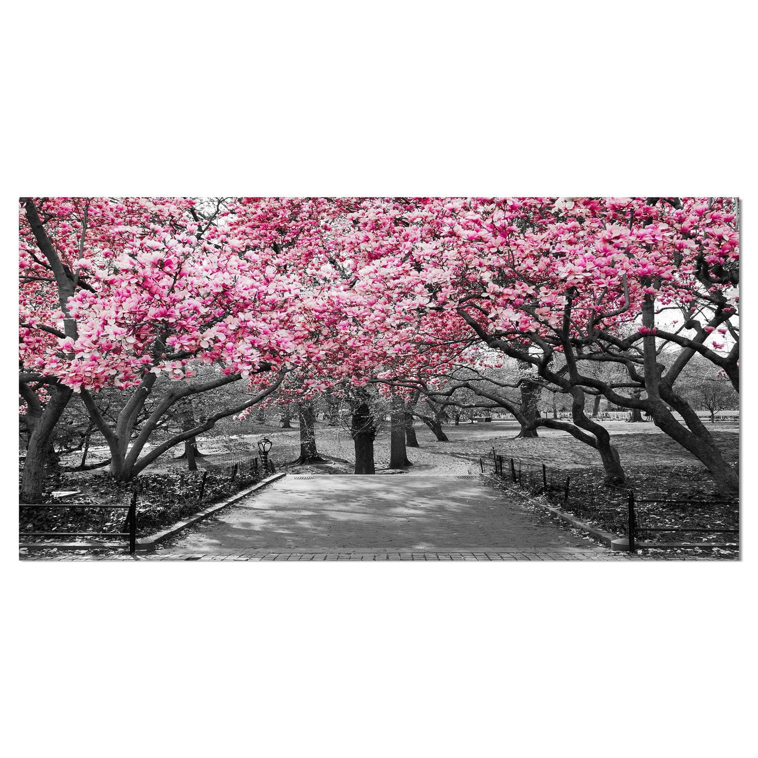 Designart Fleurs de cerisier Art mural sur toile