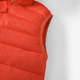 thumbnail image 4 of PatPat Veste Sans Manches Matelassée en Coton à Capuchon pour Tout-Petit Garçon/fillette, 4 of 6