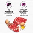 thumbnail image 2 of Beyond Simply Farm-Raised Beef, Barley & Free Run Egg Recipe, Dry Dog Food, 2 of 9