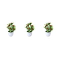 thumbnail image 4 of ZheElen Add To Any Room Artificial Plant Collection Designed For Any Room Artificial Potted Plants False Plant Big Red Fruit 3Set, 4 of 6