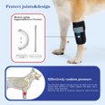 thumbnail image 4 of Dog Front Leg Brace Compression Wraps, Breathable Dog Leg Carpal Support With Reflective Stripe, Canine Front Leg Wrap Sleeve For Wounds, 4 of 7
