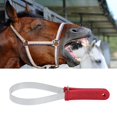 thumbnail image 1 of Grattoir à Cheval en Acier Inoxydable, Lame Unique pour Tondeuse à Cheval, Accessoire pour Outil de Cheval, 1 of 8