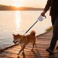 thumbnail image 4 of Heavy Duty Reflective Dog Leash for Medium and Large Breeds Featuring a Comfortable Padded Handle and Durable Metal Fastener, 4 of 4