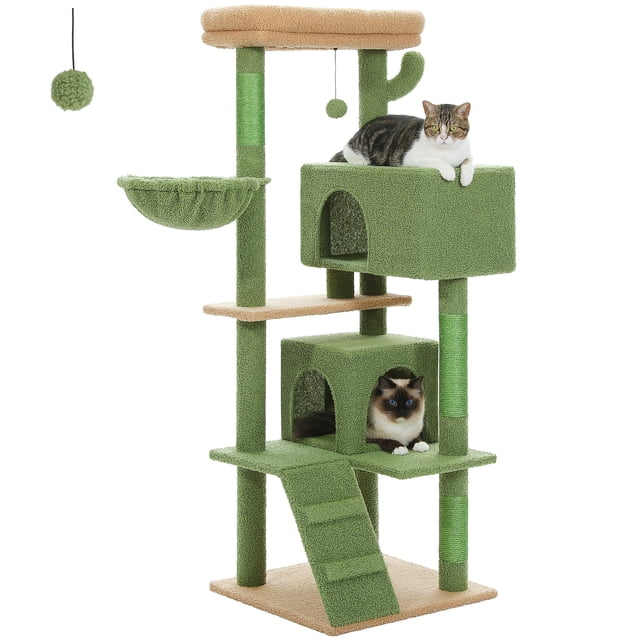PAWZ Road Arbre à Chat à Plusieurs Niveaux de 56 Pouces avec 2 Condos et Hamac pour Grand Chat d'Intérieur Vert Cactus