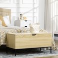 thumbnail image 2 of HOMCOM Storage Bench, Lift Top Storage Chest, Shoe Bench, Toy Box Organizer, 2 of 10