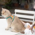 thumbnail image 2 of fastboy Soft Cat Leash And Harness Set For More Comfortable Walking Night Reflection Kitten Harness Orange Blue M, 2 of 6