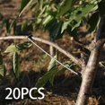 thumbnail image 3 of serony 20x Fruit Tree Branch Limb Spreader Twig Fixing Puller Limb Frame for Garden, 3 of 9