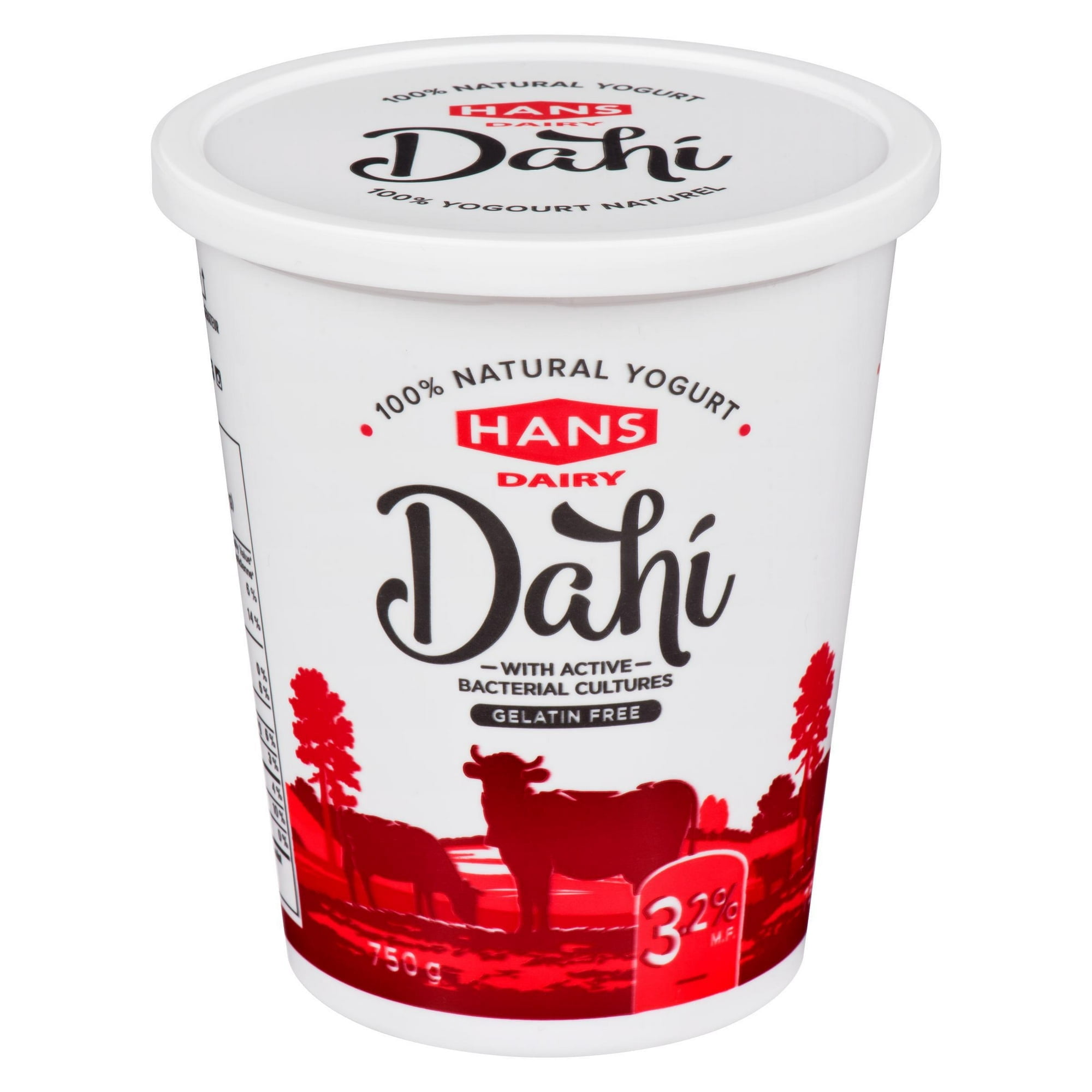 Yogourt nature Dahi de Hans Dairy à 3,2 % M.G.
