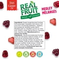 thumbnail image 4 of REALFRUIT Gummies Medley Candy, Dare Real Fruit, 4 of 9