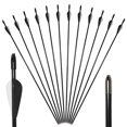 thumbnail image 1 of Runzkzy Metal Arrows 29 inch 6/12PCS Hunting Arrows for Bow Compound Recurve and Traditional Bows, 1 of 11