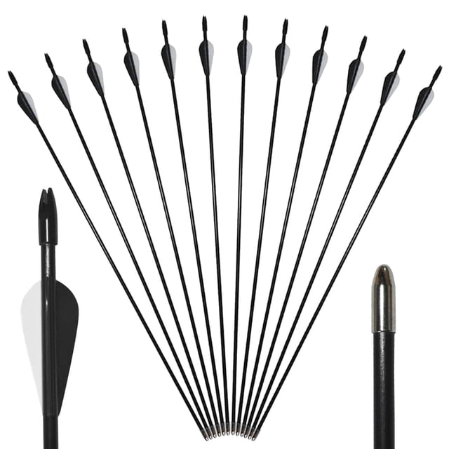 Runzkzy Metal Arrows 29 inch 6/12PCS Hunting Arrows for Bow Compound Recurve and Traditional Bows