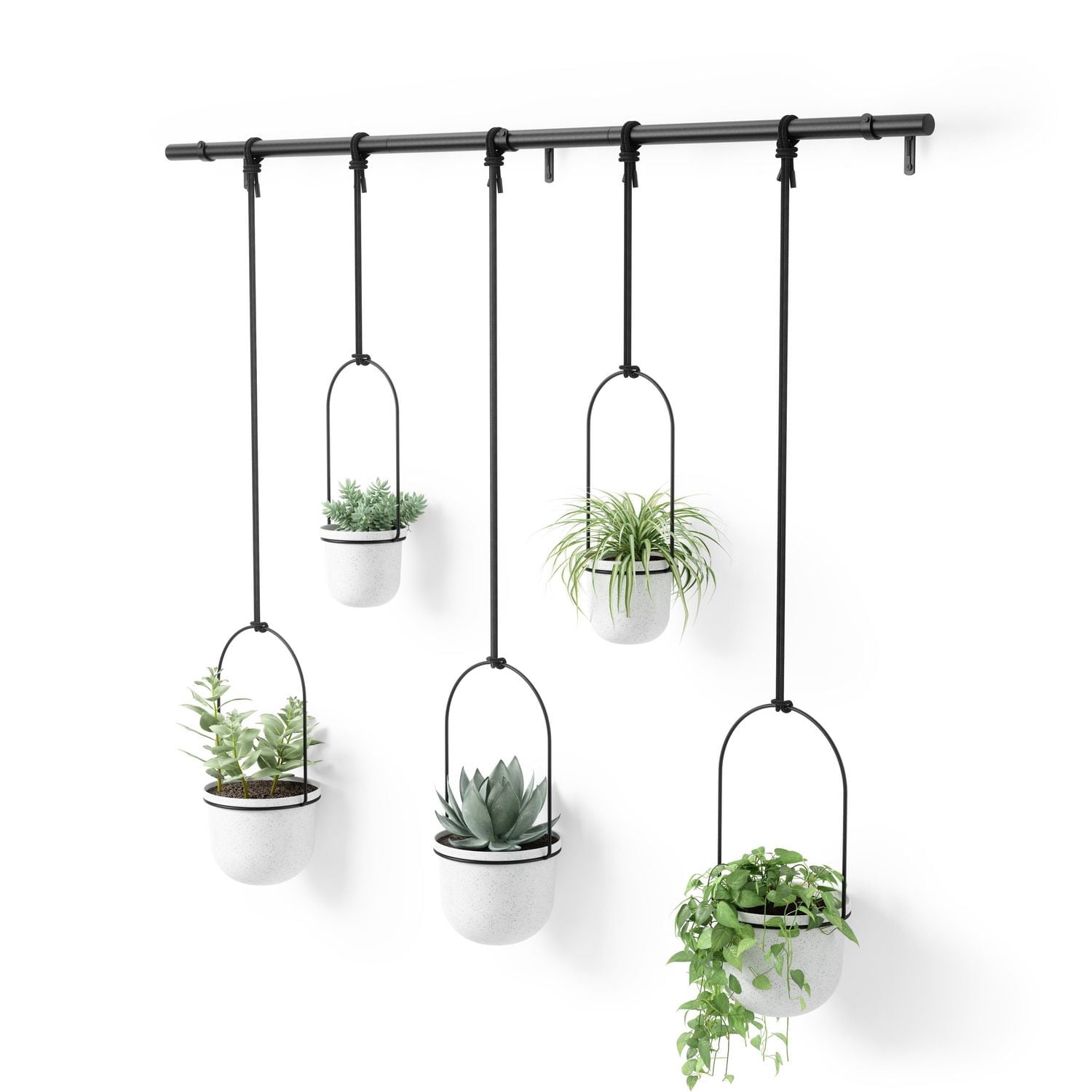 Umbra Triflora Hanging Planter, Set of 5